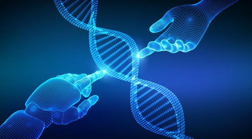 禾元生物IPO之路 業績連年虧損，技術開發與產品商業化雙重挑戰